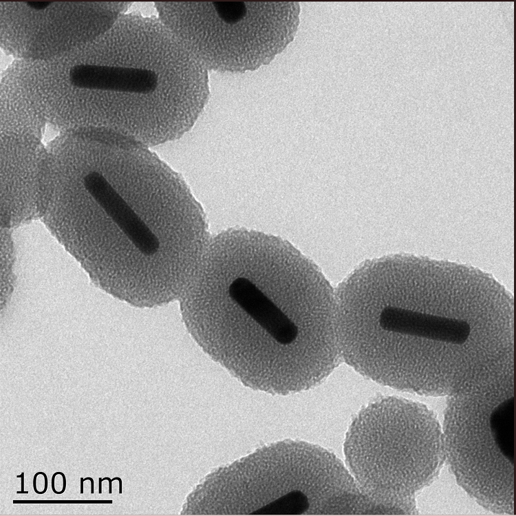 介孔二氧化硅包覆金纳米棒