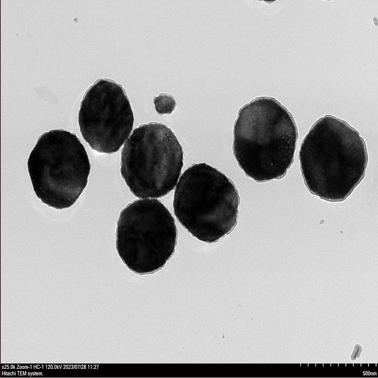 氧化锌纳米颗粒