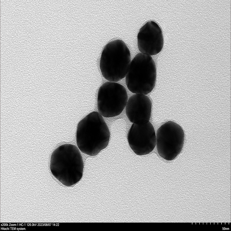 薄层二氧化硅包覆金纳米颗粒