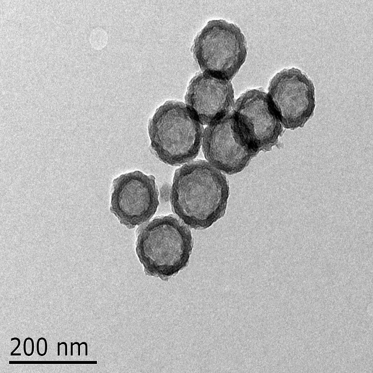 硅纳米材料药物递送平台
