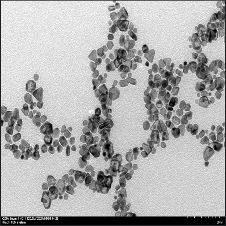 镍铂合金纳米颗粒