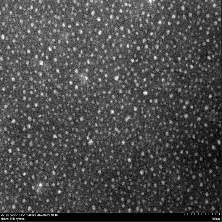 透明质酸纳米颗粒