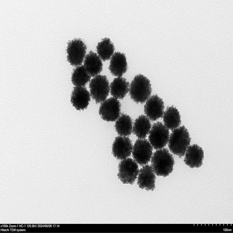 铂包金纳米颗粒