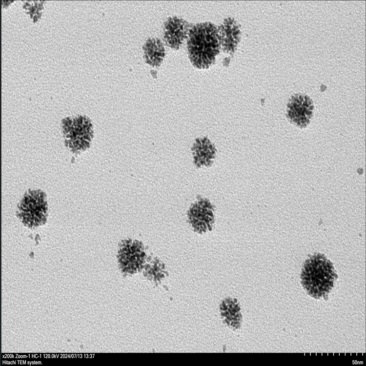 铑铼合金纳米颗粒