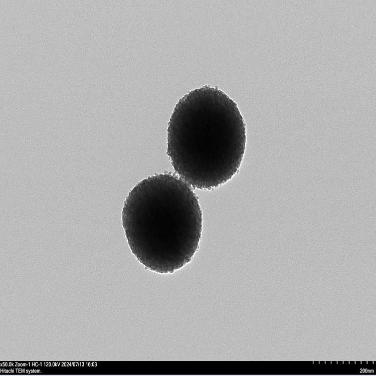 介孔二氧化钛纳米颗粒