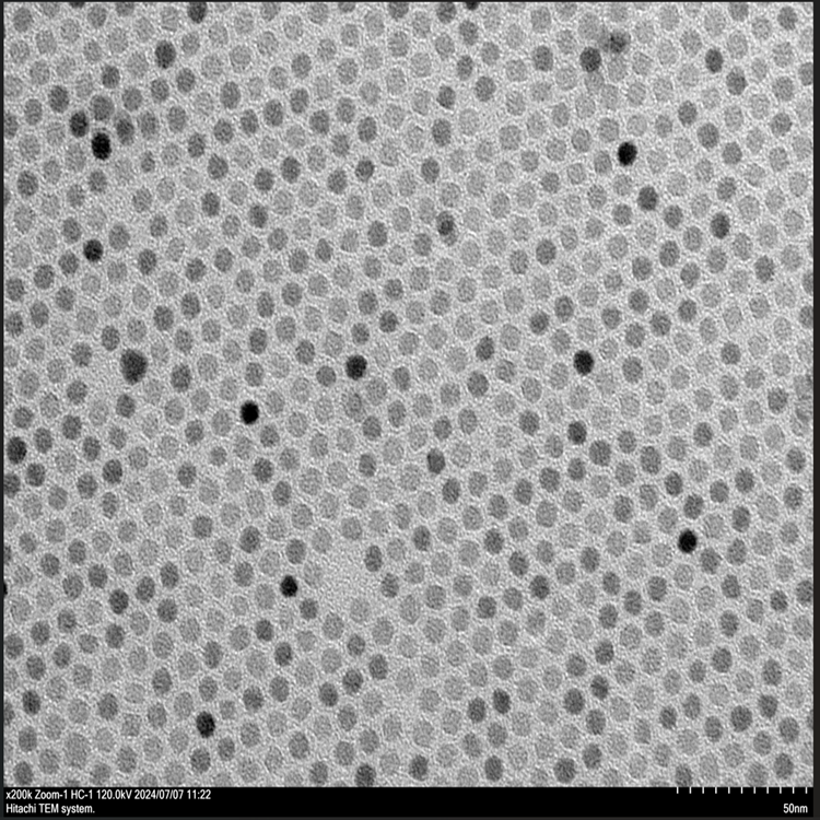 氨基磁性纳米颗粒（APTES修饰）（5-50nm）可选